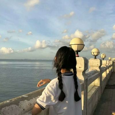 口袋新旅程手游下载